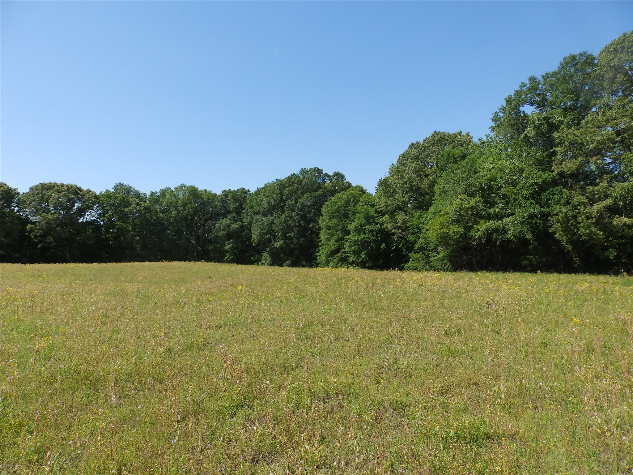 3168 Highway 175 Frankston TX 75763