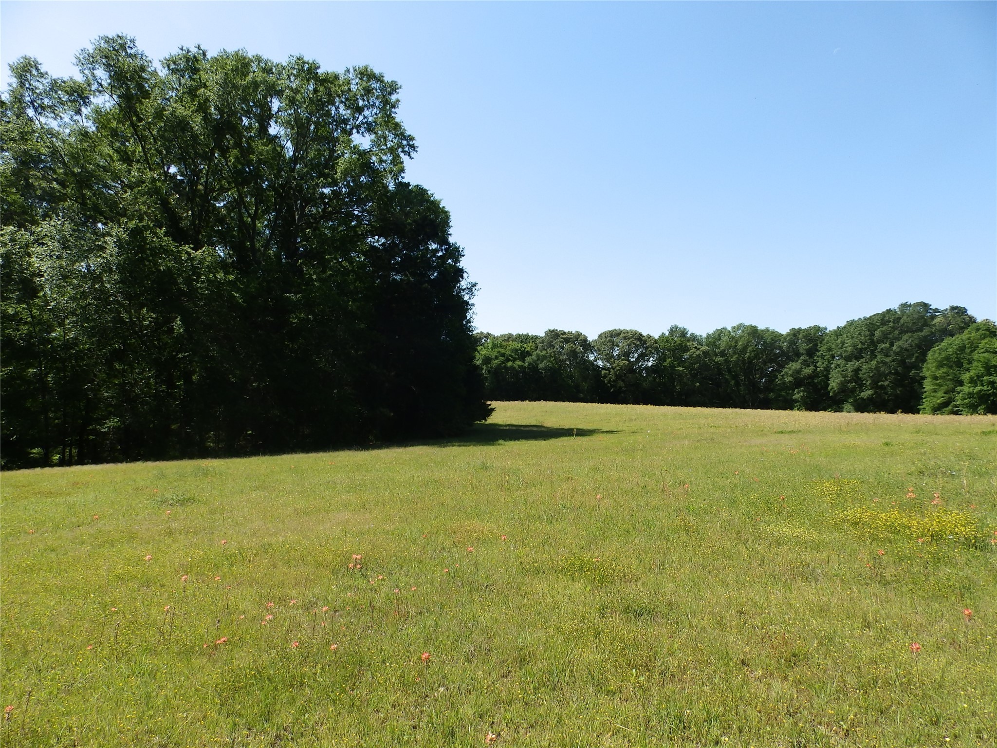 3168 Highway 175 Frankston TX 75763