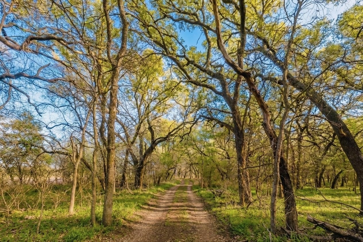 7120 Highway 183 N Early TX 76802