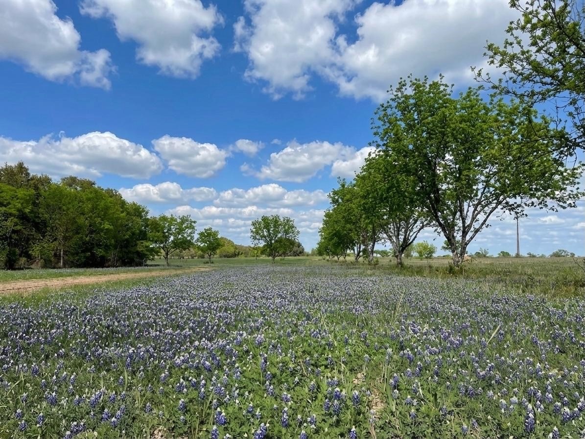 7120 Highway 183 N Early TX 76802