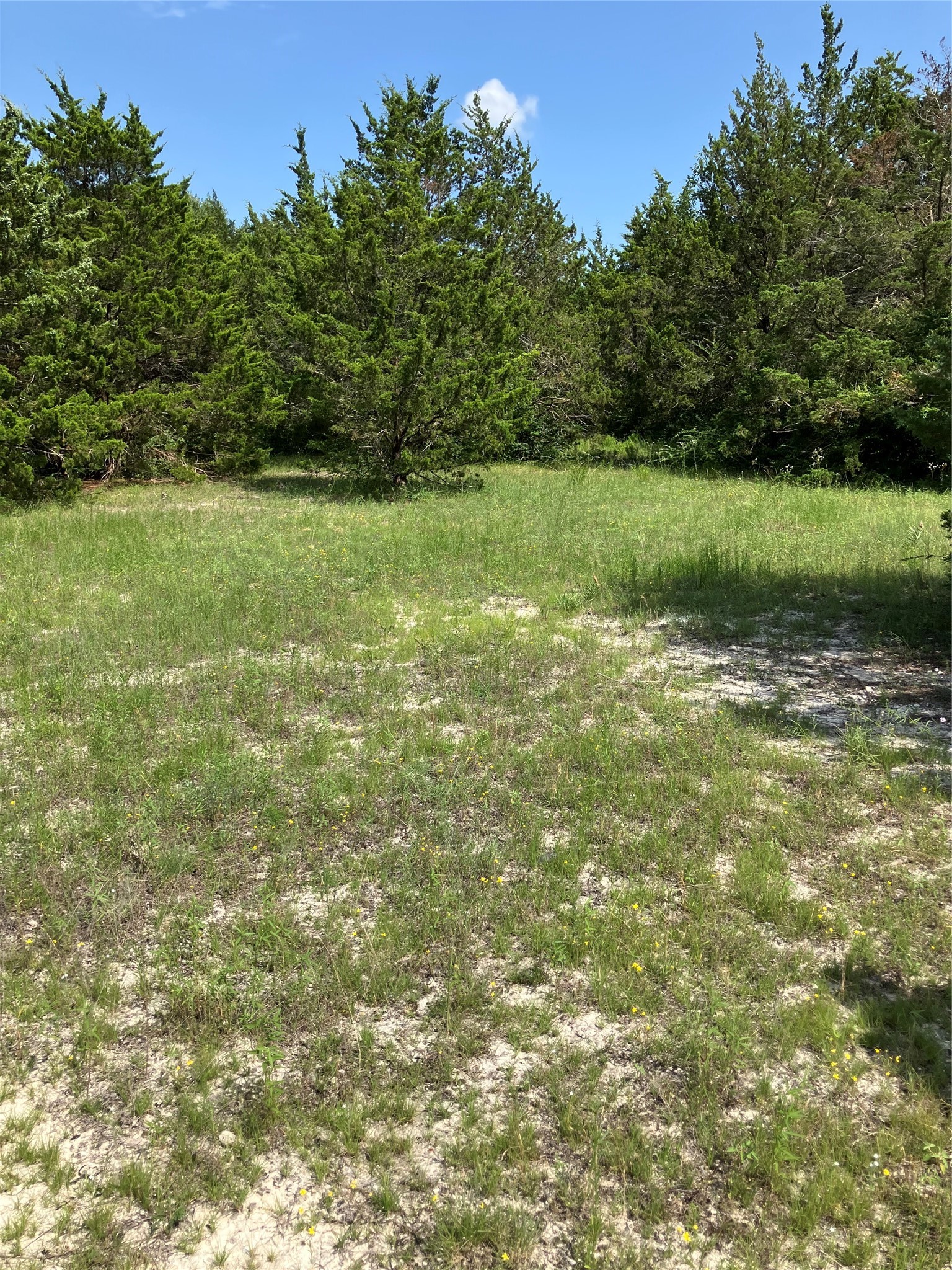 3510 Telephone Road Dallas TX 75241