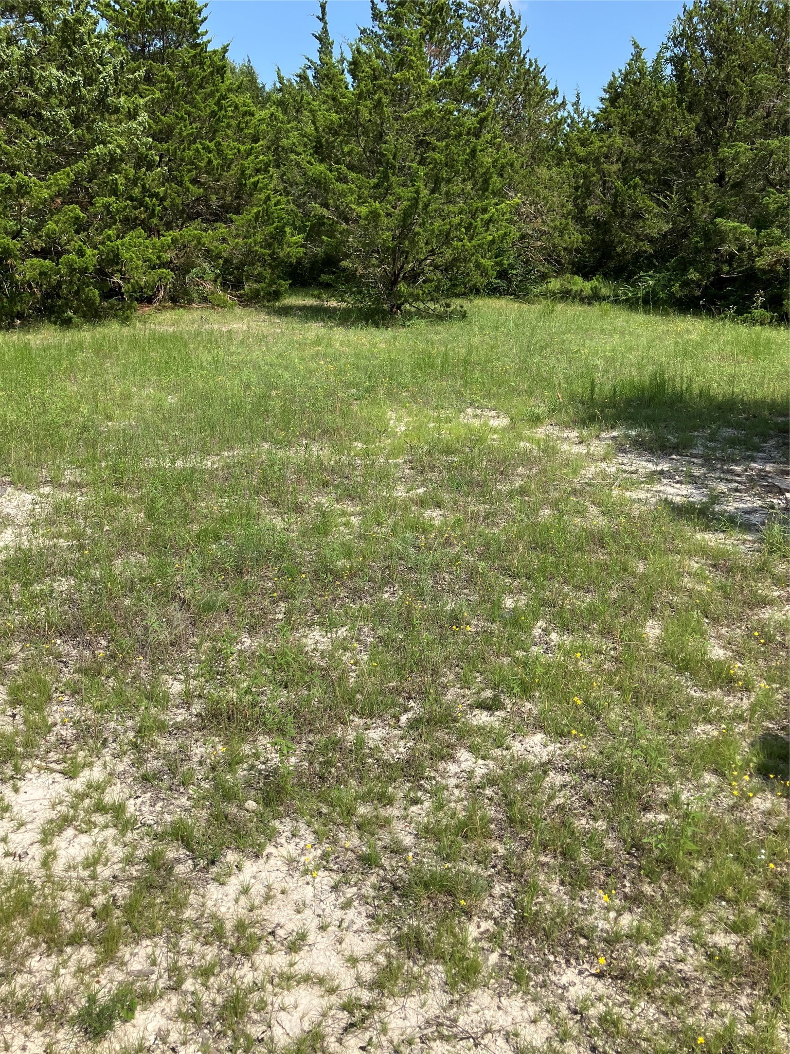 3510 Telephone Road Dallas TX 75241