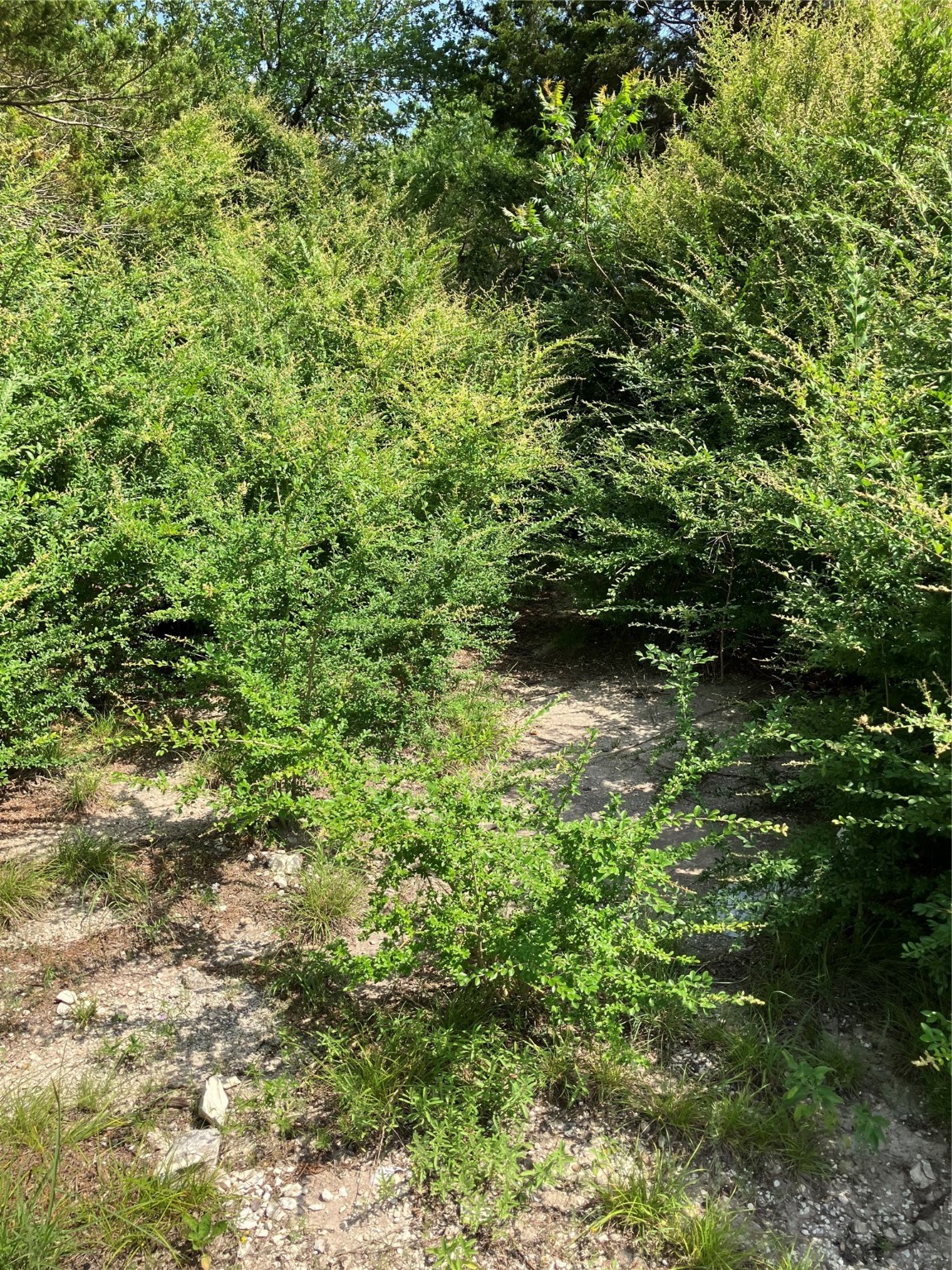 3710 Telephone Road Dallas TX 75241