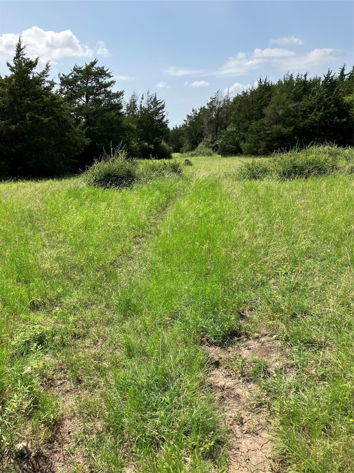 3710 Telephone Road Dallas TX 75241