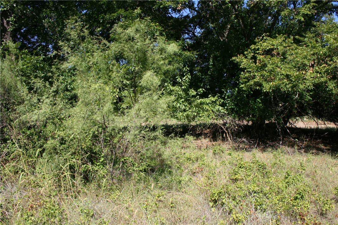2001 Santa Fe Drive Weatherford TX 76086