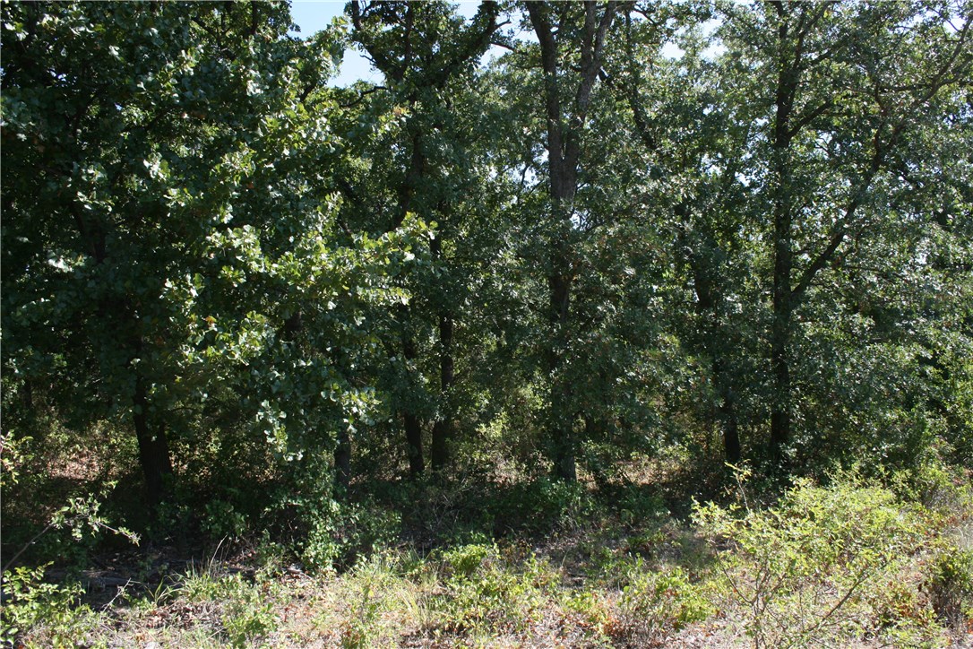 2001 Santa Fe Drive Weatherford TX 76086