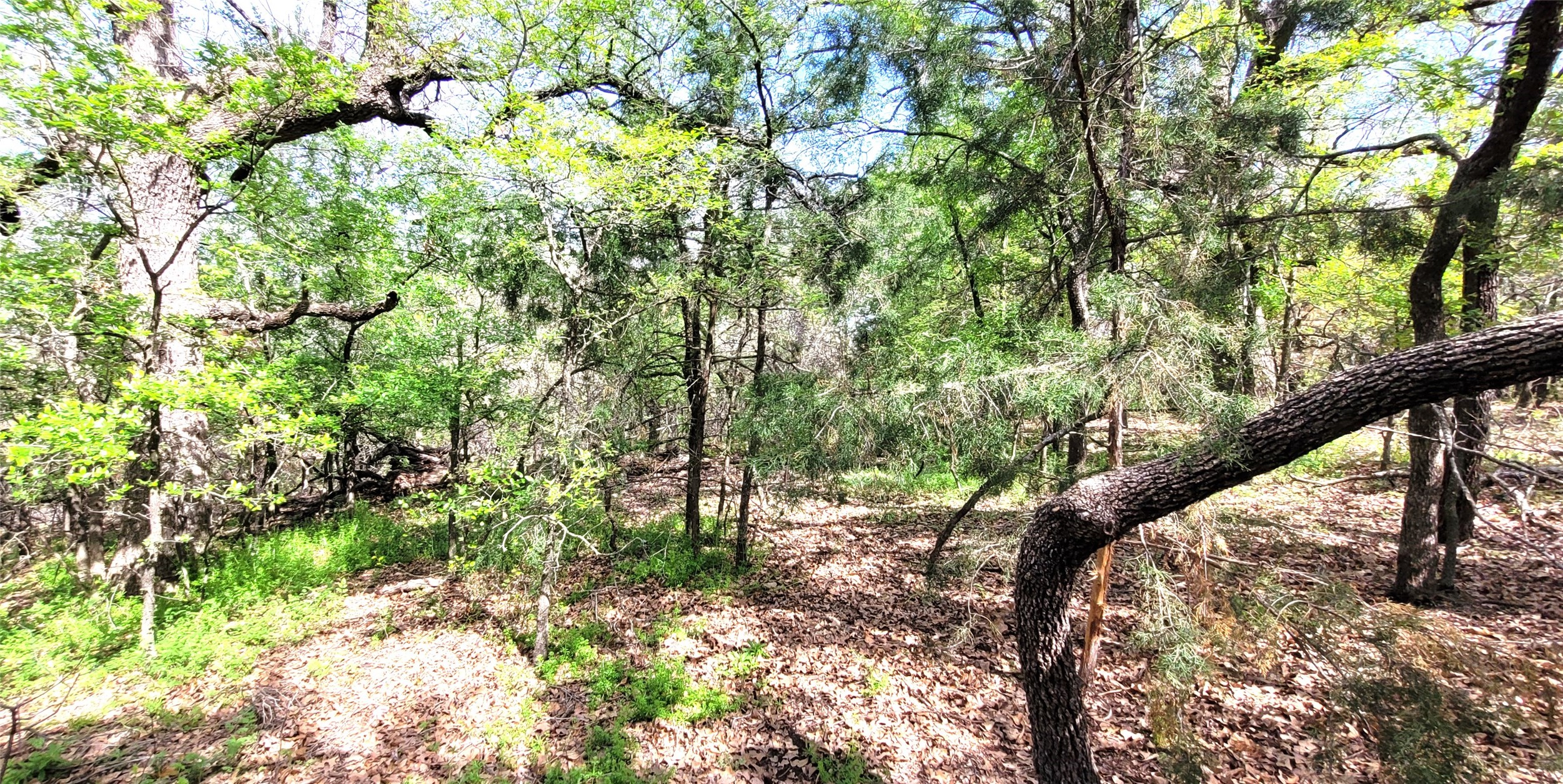 397 Clubhouse Drive Burleson TX 76058