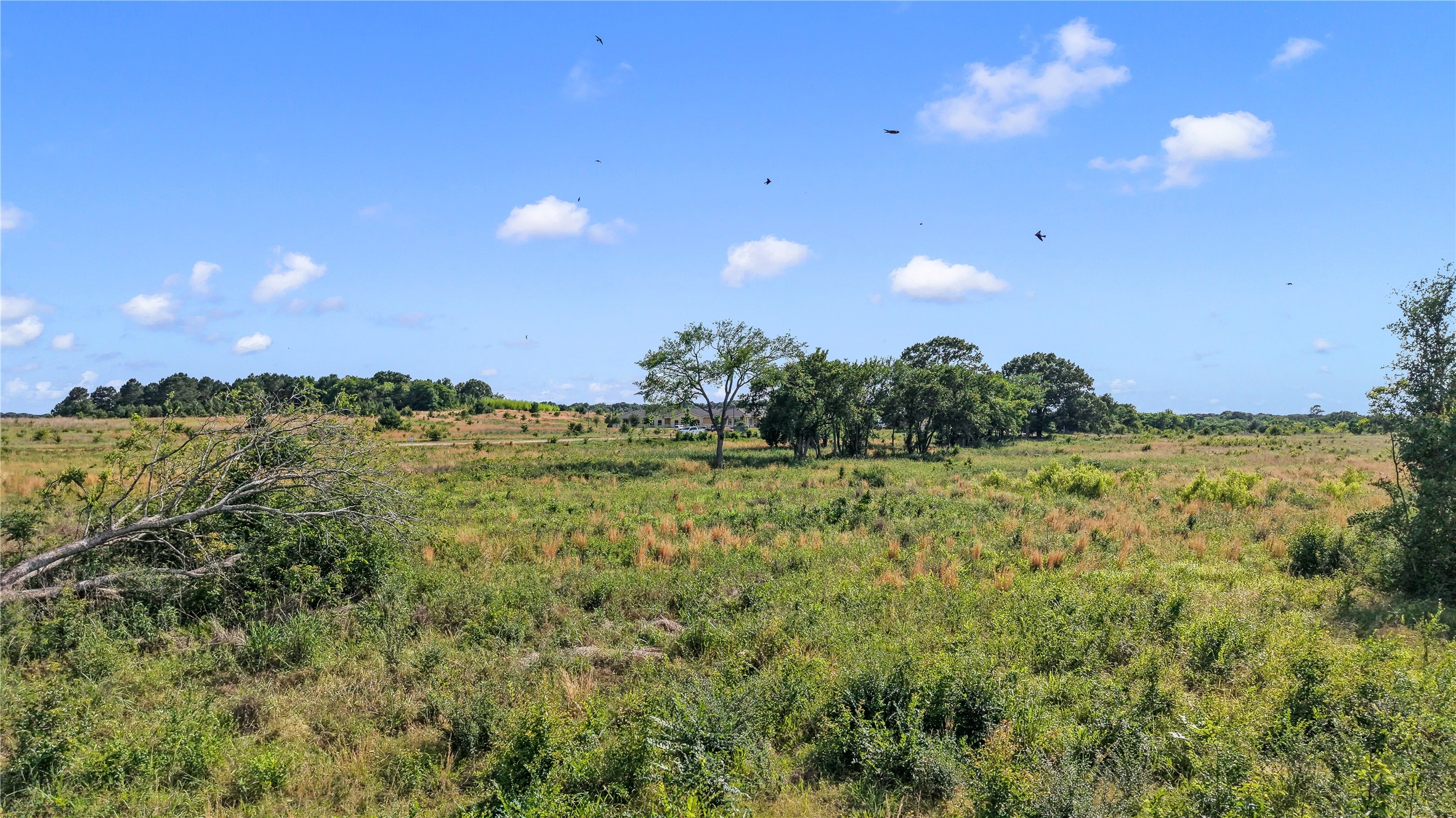 120 Commons Drive Athens TX 75751