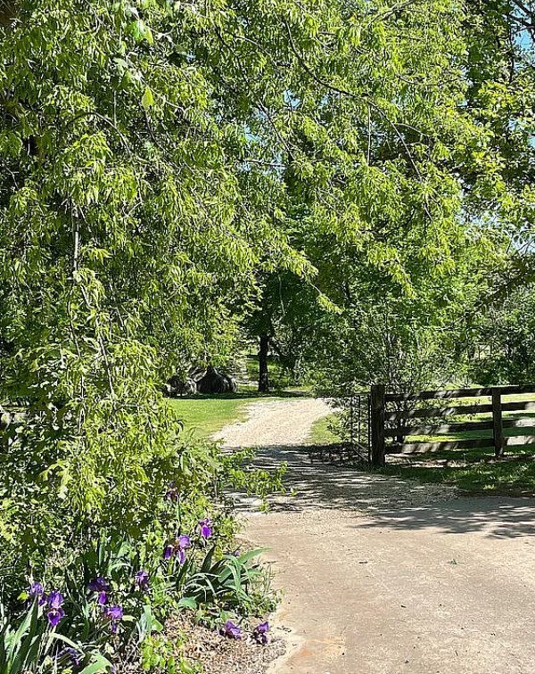 11217 Foutch Road Pilot Point TX 76258