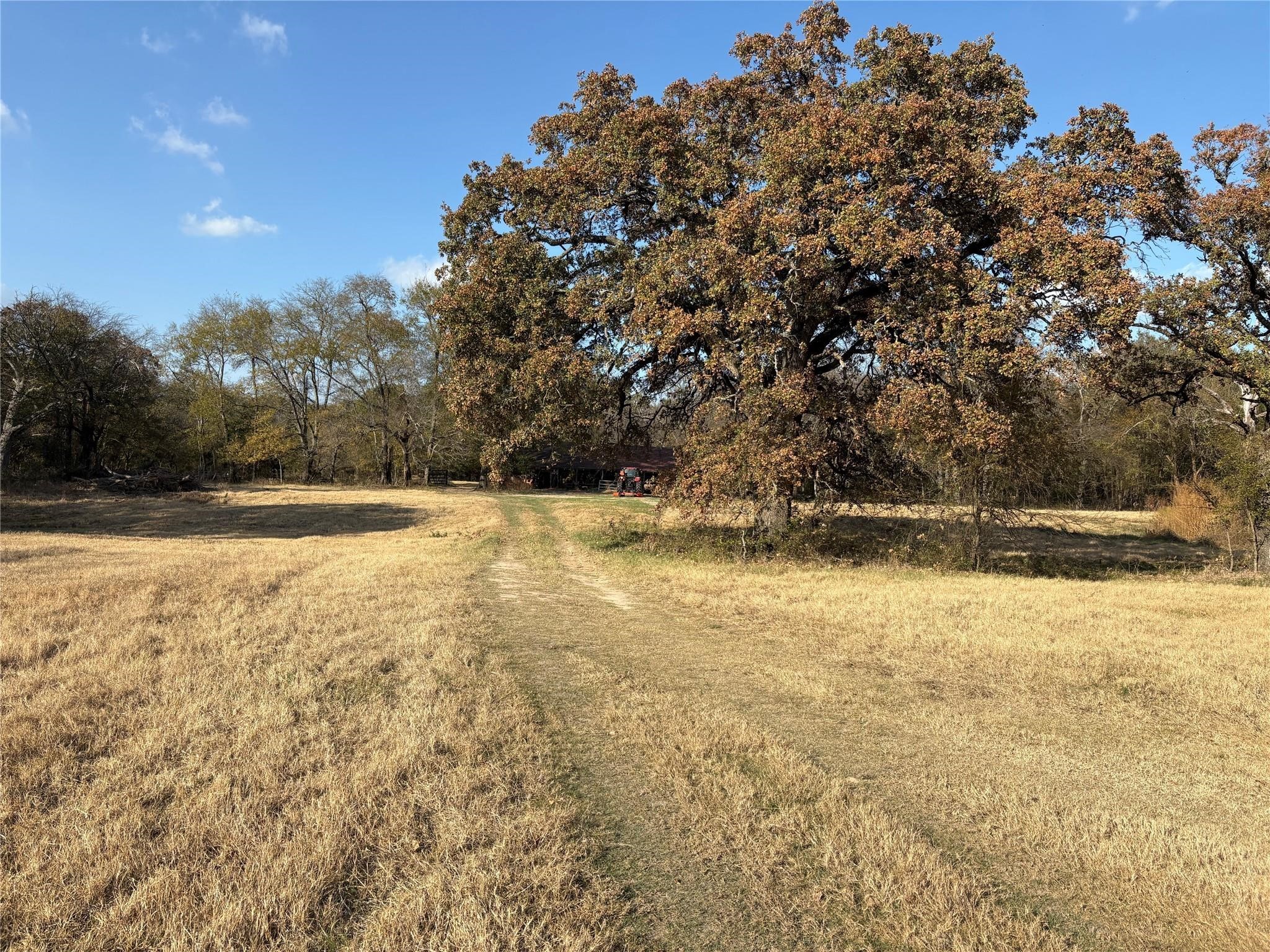 1207 State Highway 24 Campbell TX 75422