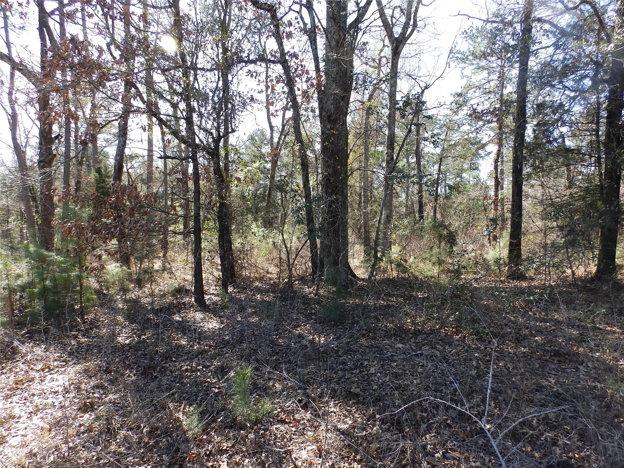 20175 Highway 155 Flint TX 75762