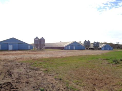 Tbd Woodchuck Winnsboro TX 75494