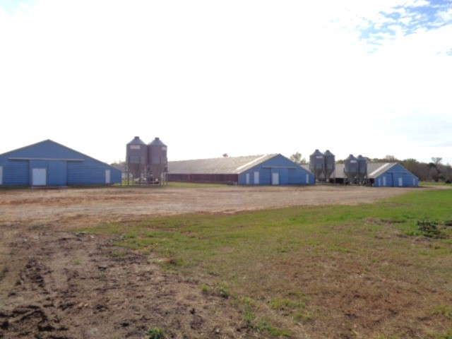 Tbd Woodchuck Winnsboro TX 75494