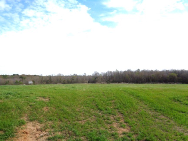 Tbd Woodchuck Winnsboro TX 75494