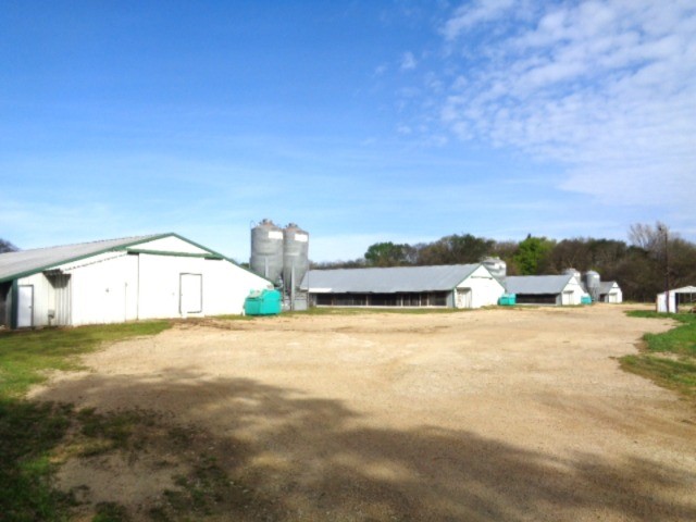 Tbd Woodchuck Winnsboro TX 75494