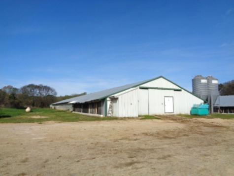 Tbd Woodchuck Winnsboro TX 75494