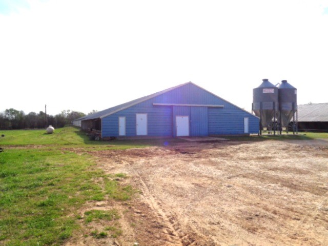 Tbd Woodchuck Winnsboro TX 75494