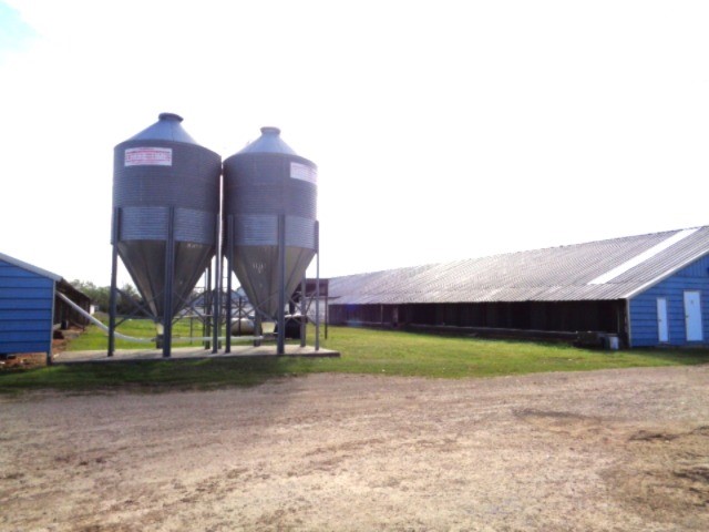 Tbd Woodchuck Winnsboro TX 75494