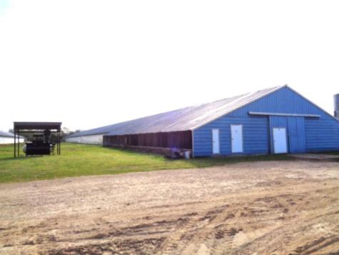 Tbd Woodchuck Winnsboro TX 75494