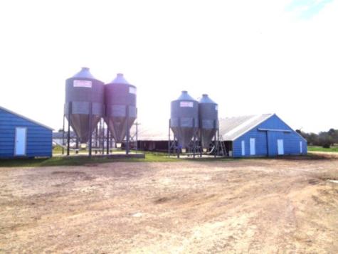 Tbd Woodchuck Winnsboro TX 75494