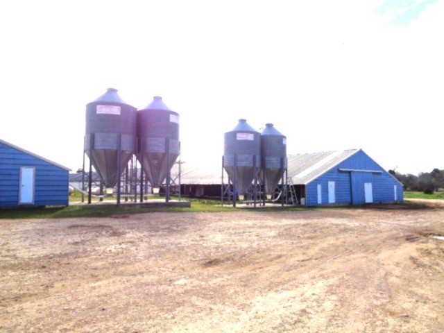 Tbd Woodchuck Winnsboro TX 75494