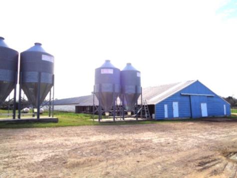 Tbd Woodchuck Winnsboro TX 75494