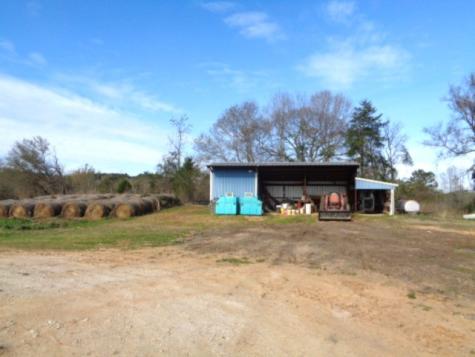 Tbd Woodchuck Winnsboro TX 75494