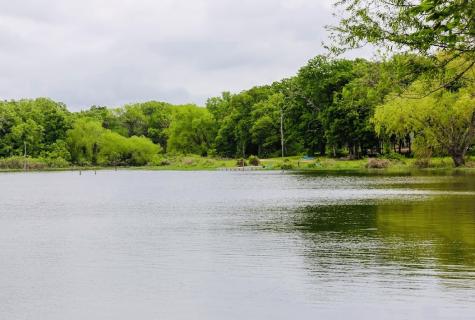 300 W Rabbit Cove Road West Tawakoni TX 75474