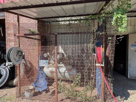 1106 W Main Street Olney TX 76374