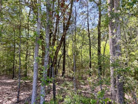 0 Lane Drive Lufkin TX 75904