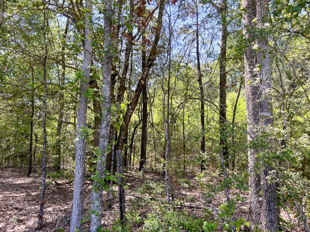 0 Lane Drive Lufkin TX 75904