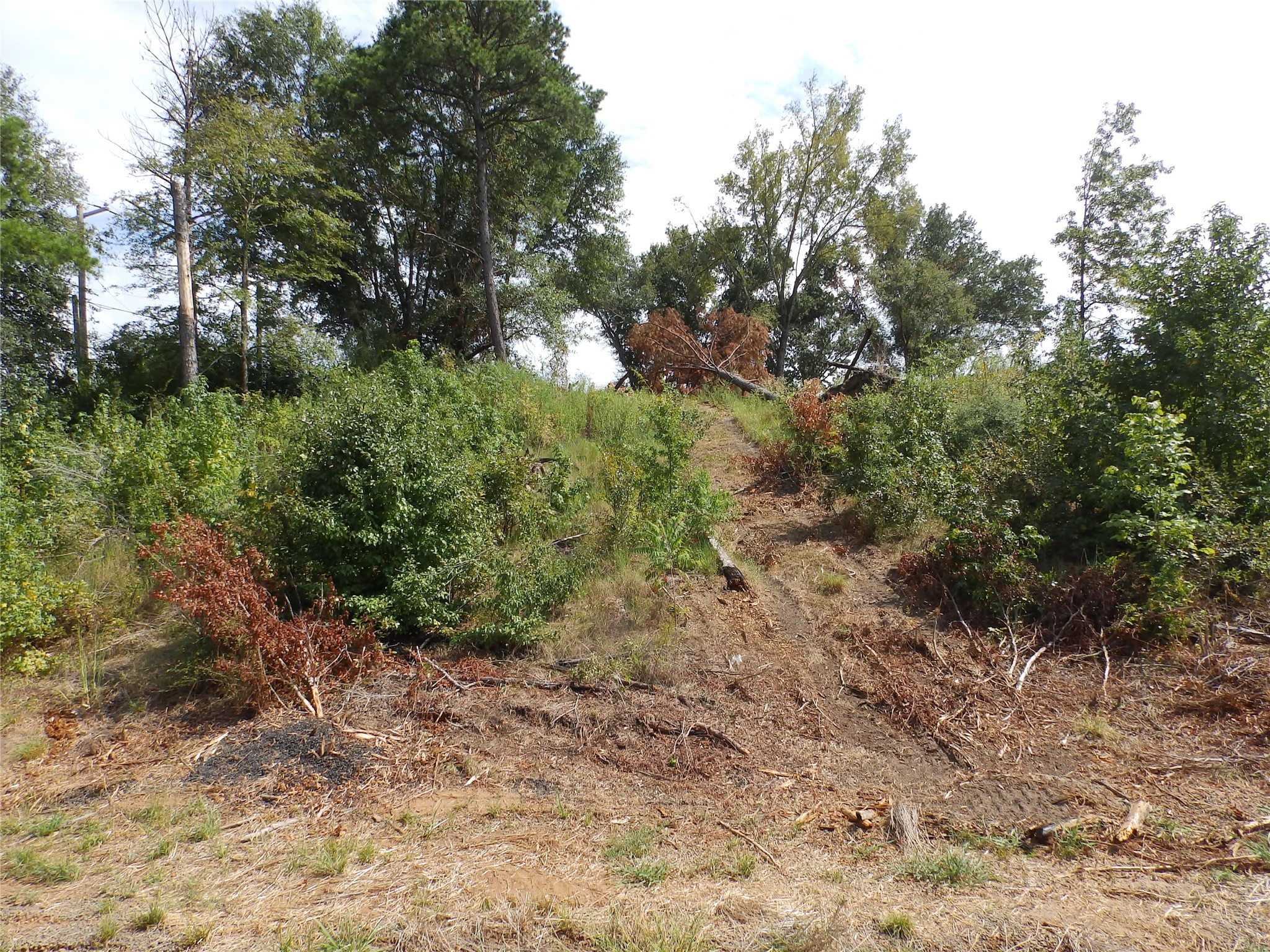 16393 W State Highway 31 Tyler TX 75709