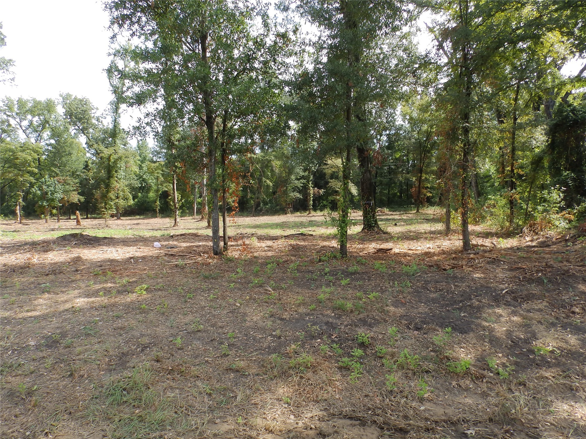 16393 W State Highway 31 Tyler TX 75709
