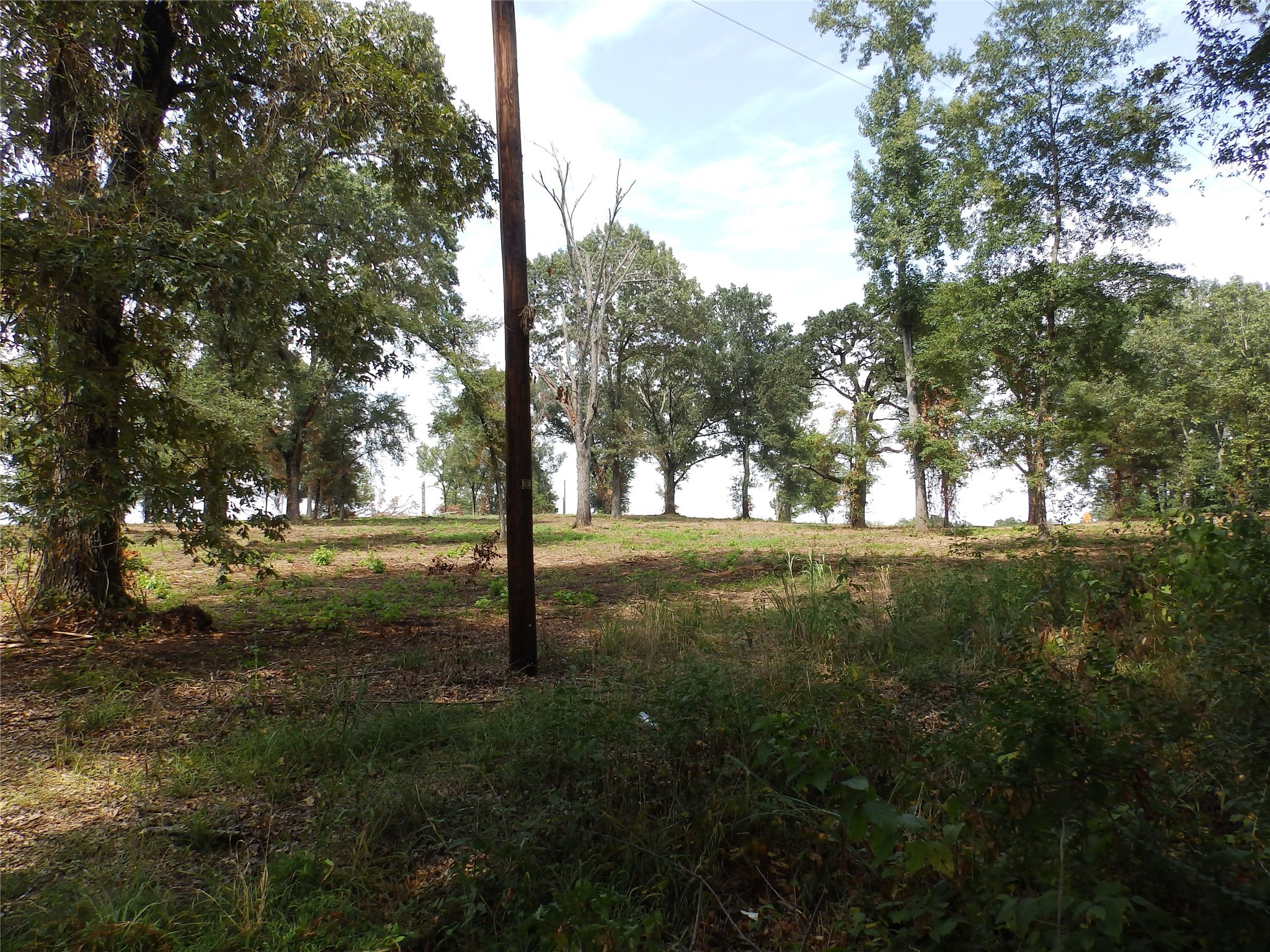 16393 W State Highway 31 Tyler TX 75709