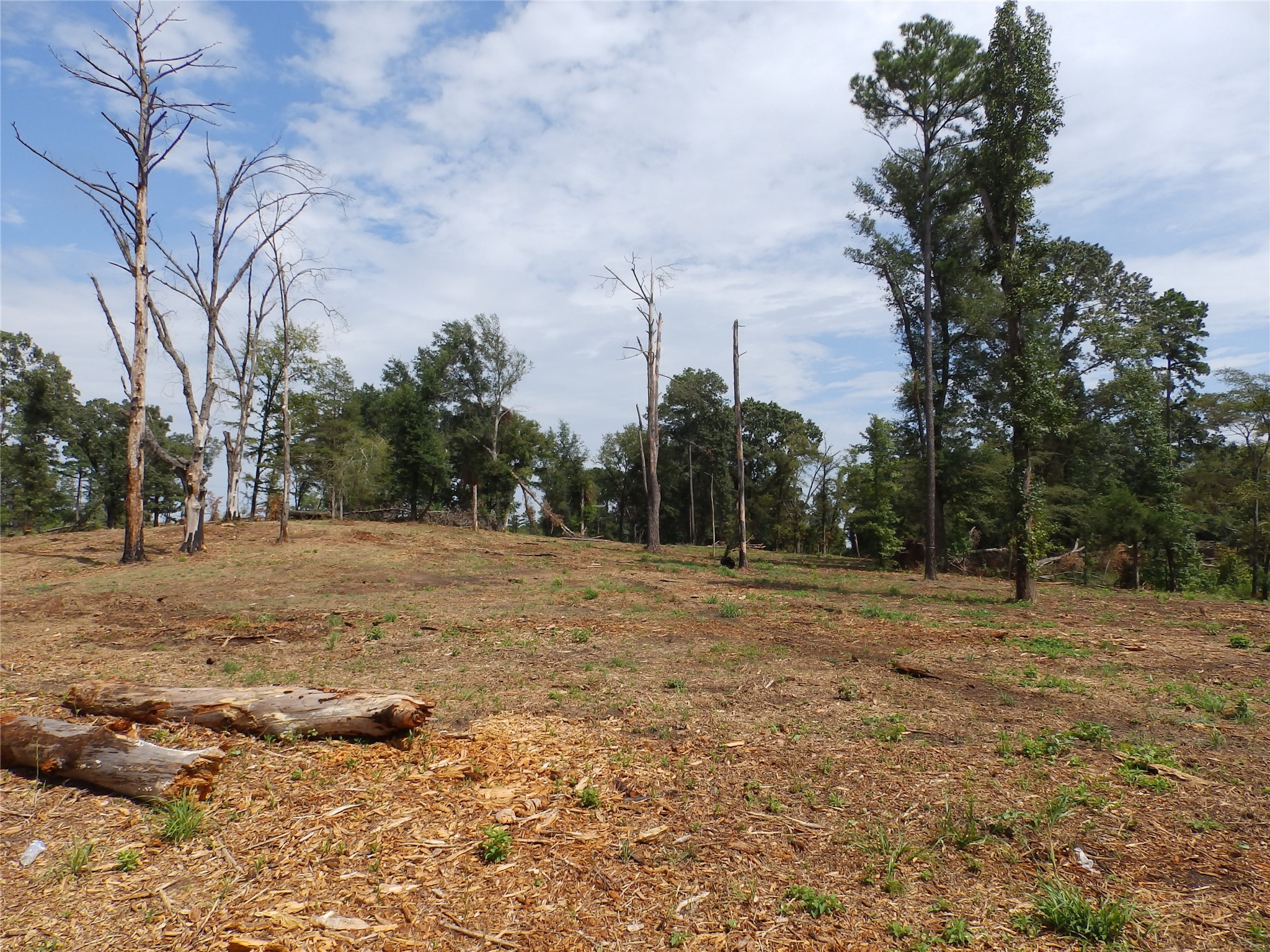 16393 W State Highway 31 Tyler TX 75709