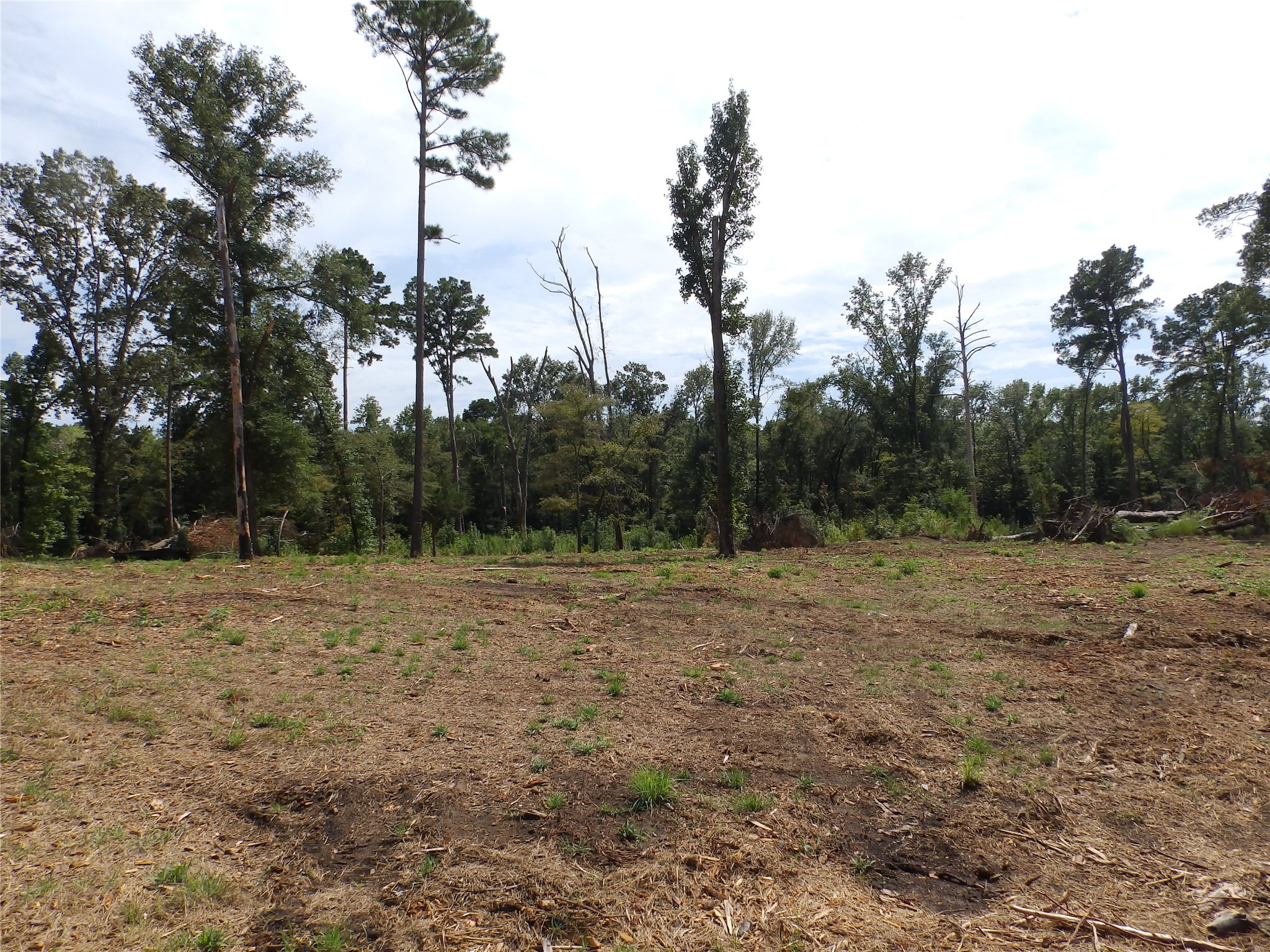 16393 W State Highway 31 Tyler TX 75709