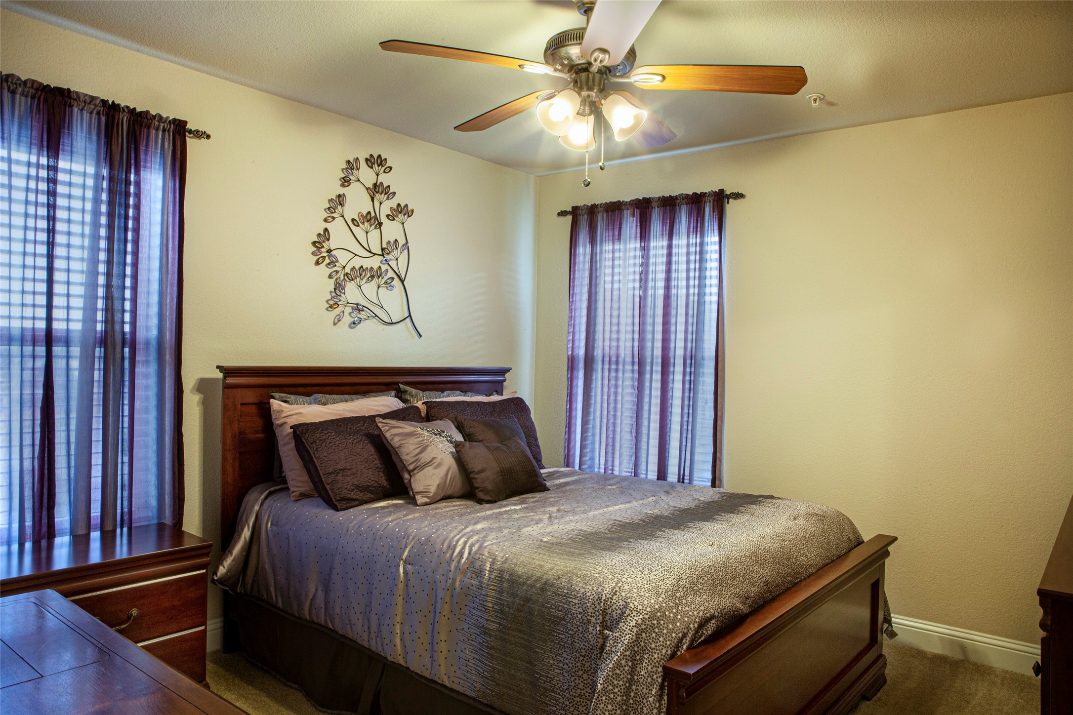 2556 Jackson Drive Lewisville TX 75067