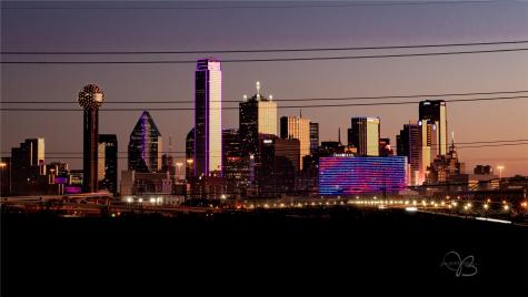 432 Trinity River Circle Dallas TX 75203
