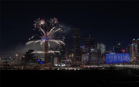 432 Trinity River Circle Dallas TX 75203