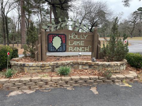 197 Holly Hill Circle Holly Lake Ranch TX 75765