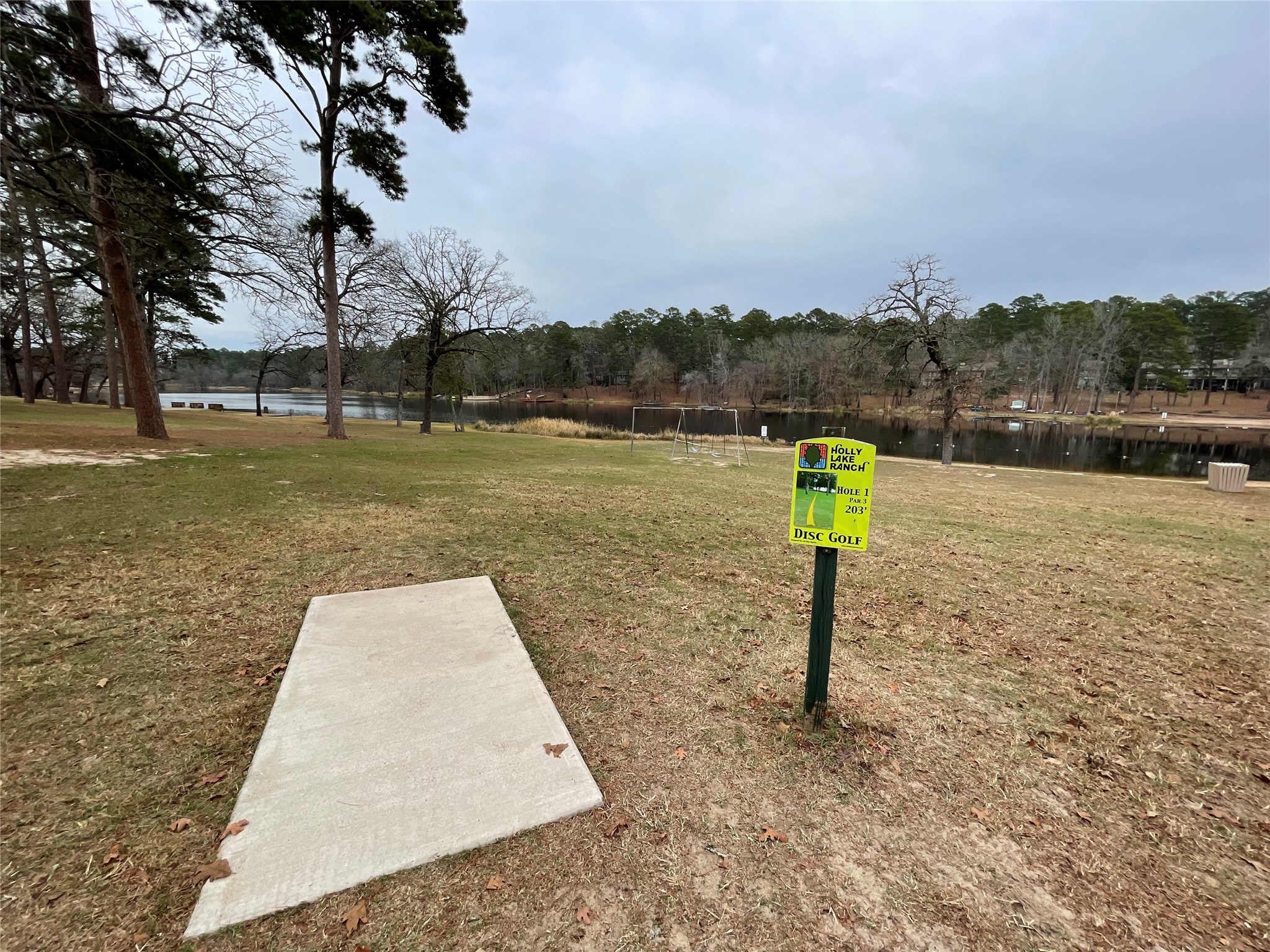 197 Holly Hill Circle Holly Lake Ranch TX 75765