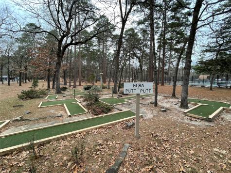 197 Holly Hill Circle Holly Lake Ranch TX 75765