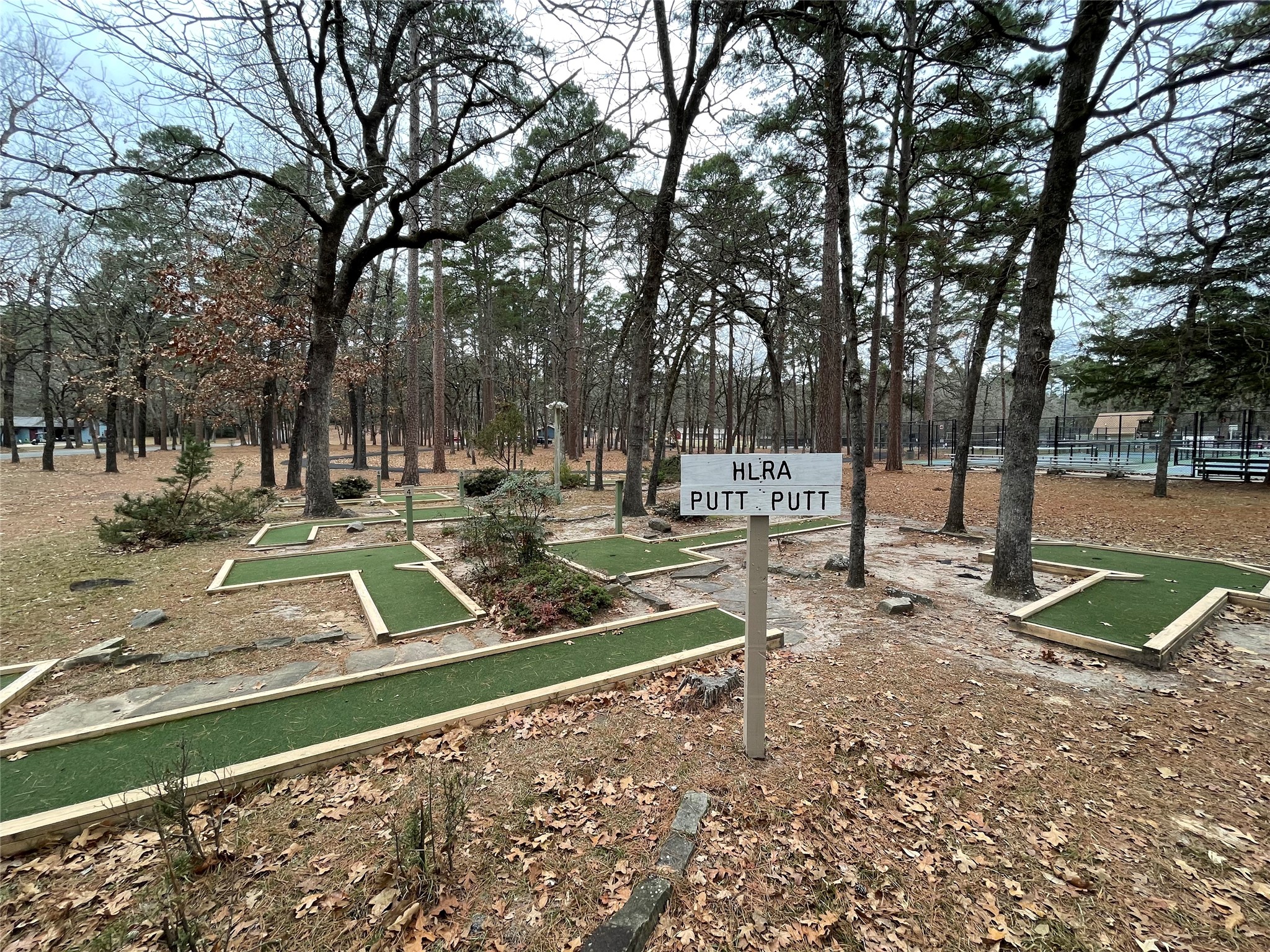 197 Holly Hill Circle Holly Lake Ranch TX 75765