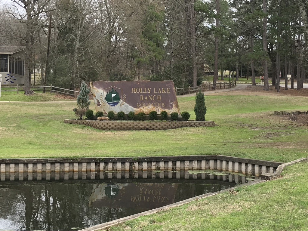 197 Holly Hill Circle Holly Lake Ranch TX 75765