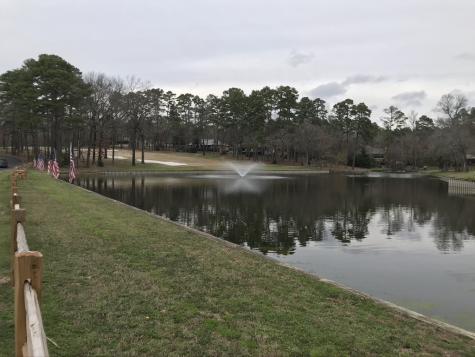 197 Holly Hill Circle Holly Lake Ranch TX 75765