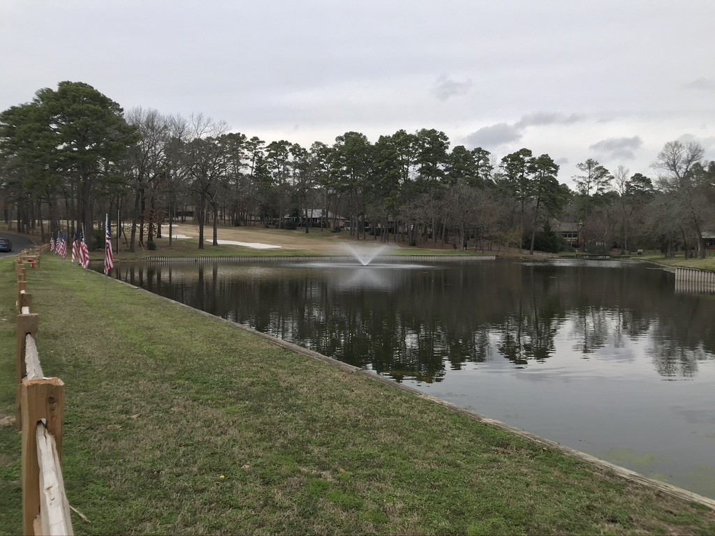 197 Holly Hill Circle Holly Lake Ranch TX 75765