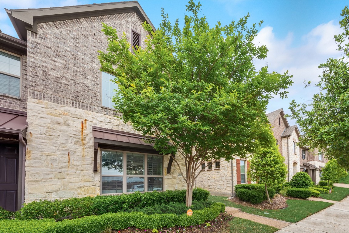 3937 Cascade Sky Drive Arlington TX 76005