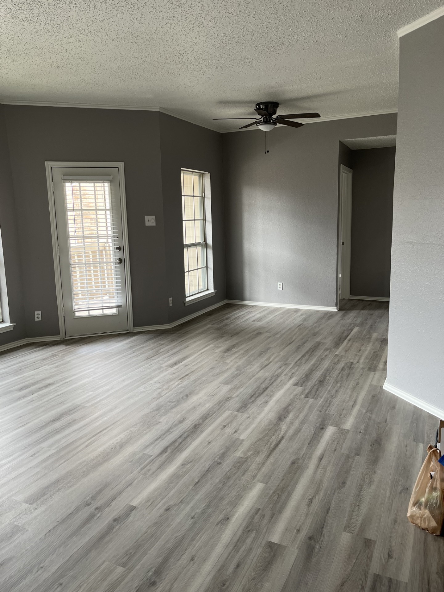 1700 Amelia Court Plano TX 75075