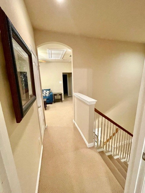 703 Chestnut Hill Drive Allen TX 75013