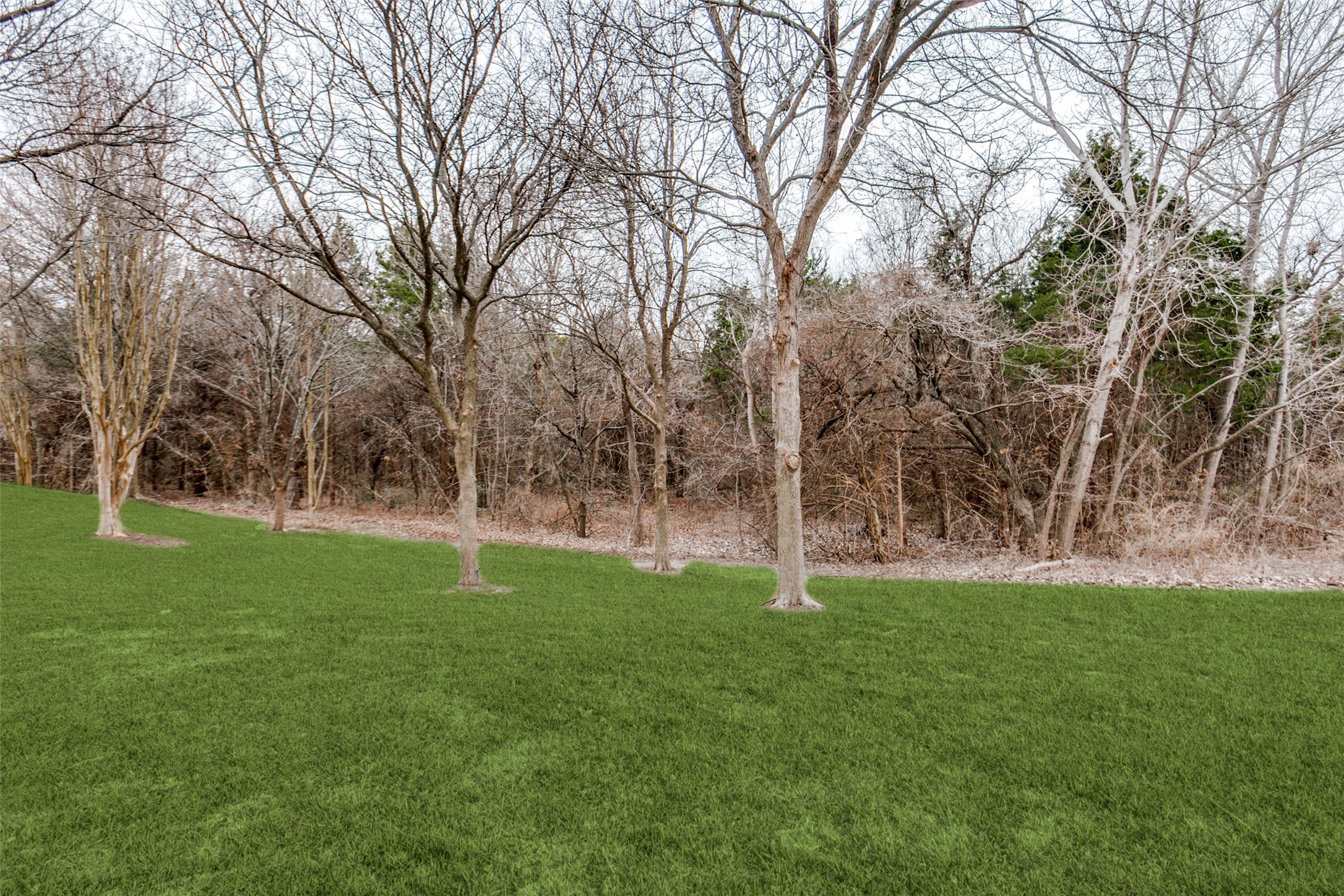 1907 Osprey Lane Garland TX 75044